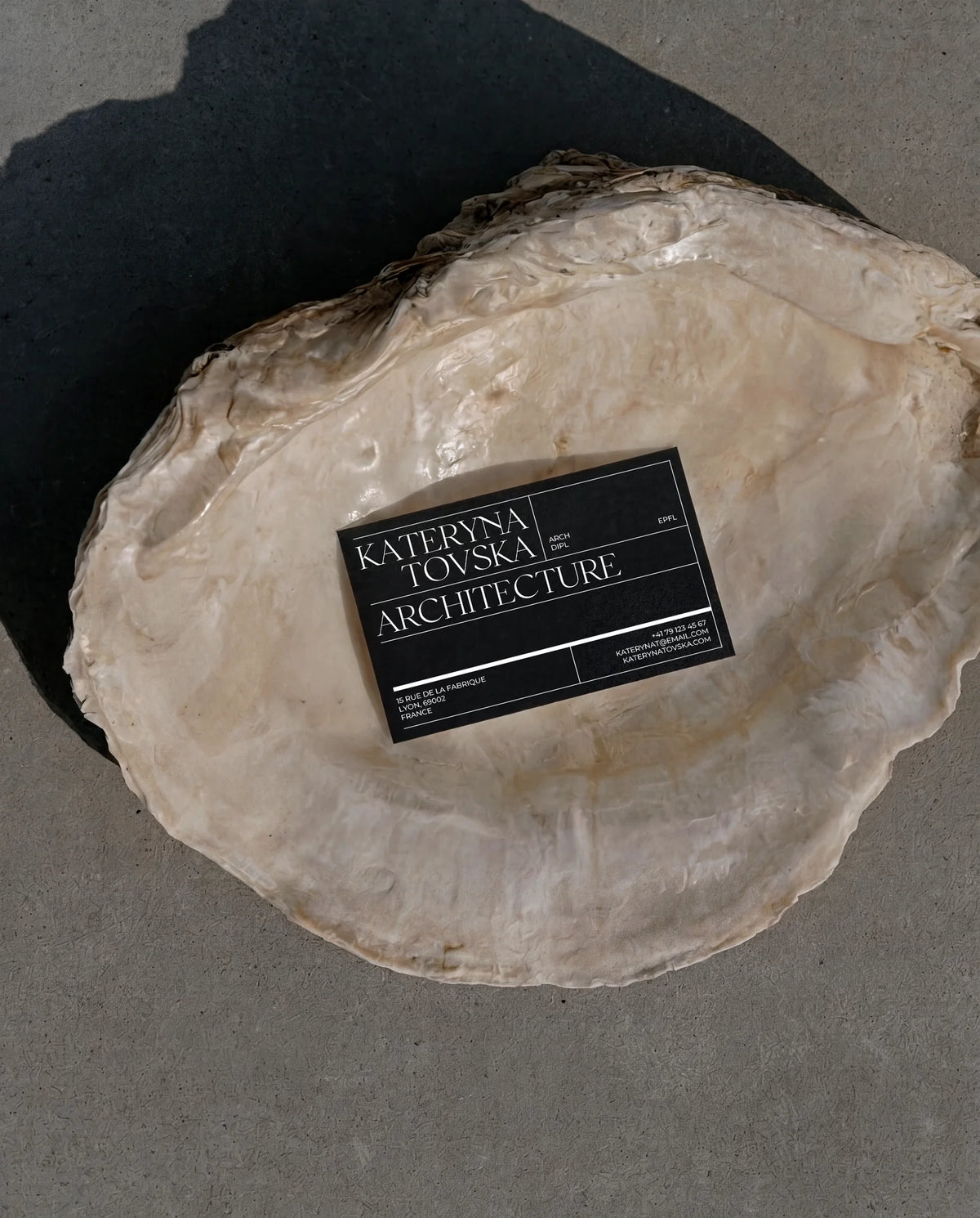Black architecture business card using Chiffon typography, photographed on a large natural shell.